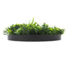 Flowering White Artificial Green Wall Disc UV Resistant 50cm (Black Frame) Deals499