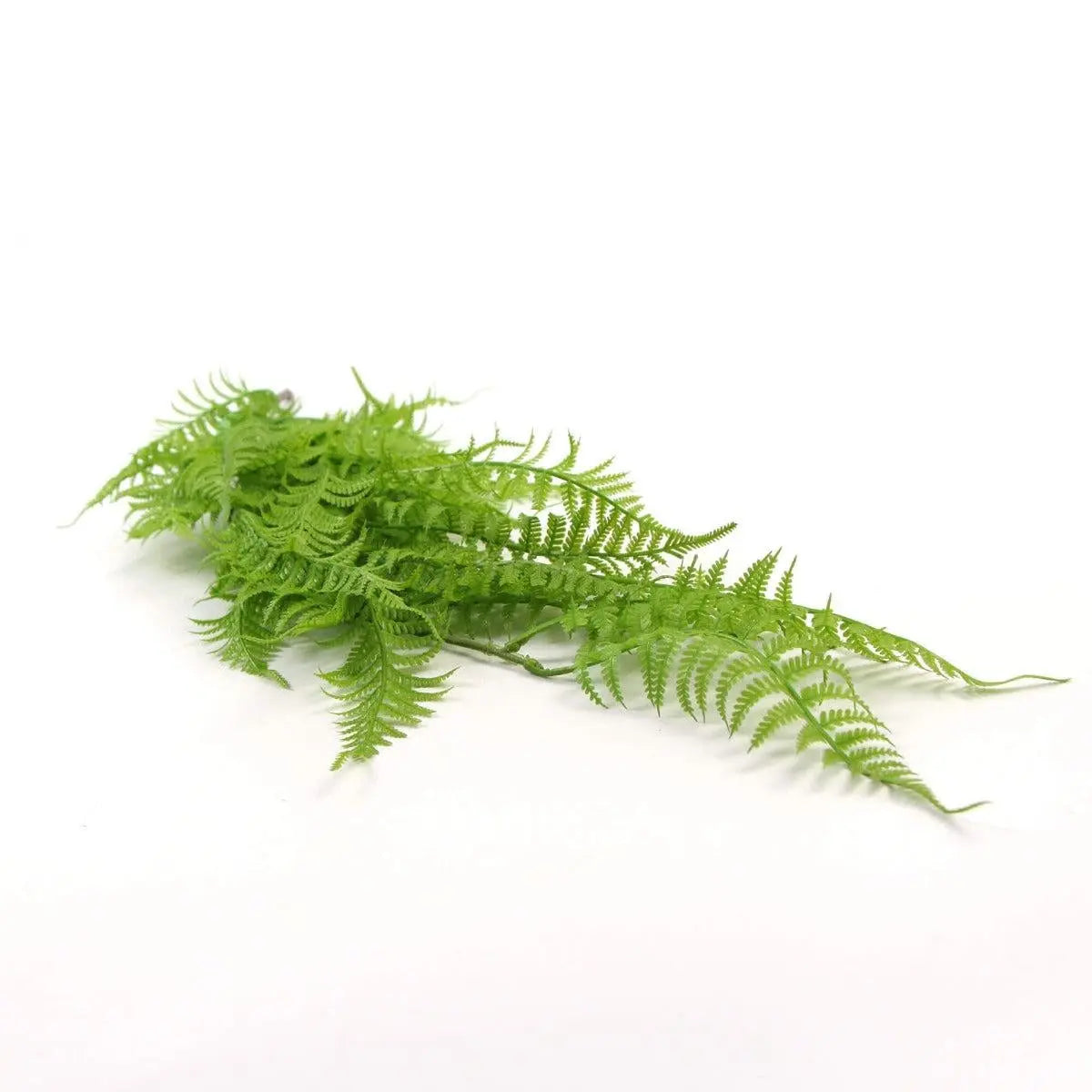 Hanging Fresh Green Boston Fern UV Resistant 80cm Deals499