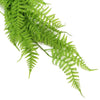 Hanging Fresh Green Boston Fern UV Resistant 80cm Deals499
