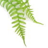 Hanging Fresh Green Boston Fern UV Resistant 80cm Deals499