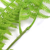 Hanging Fresh Green Boston Fern UV Resistant 80cm Deals499