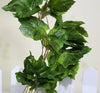 Ivy Garland Vines 260cm Each - 5 Per Pack Deals499