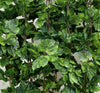 Ivy Garland Vines 260cm Each - 5 Per Pack Deals499