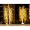 Jingle Jollys Christmas Tree 1.8M 360 LEDTrees With Lights Warm White Deals499