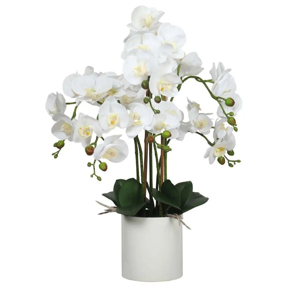 Large Multi-Stem White Potted Faux Orchid 65cm Deals499