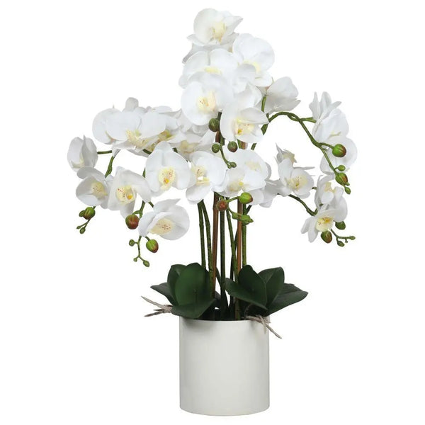 Large Multi-Stem White Potted Faux Orchid 65cm Deals499