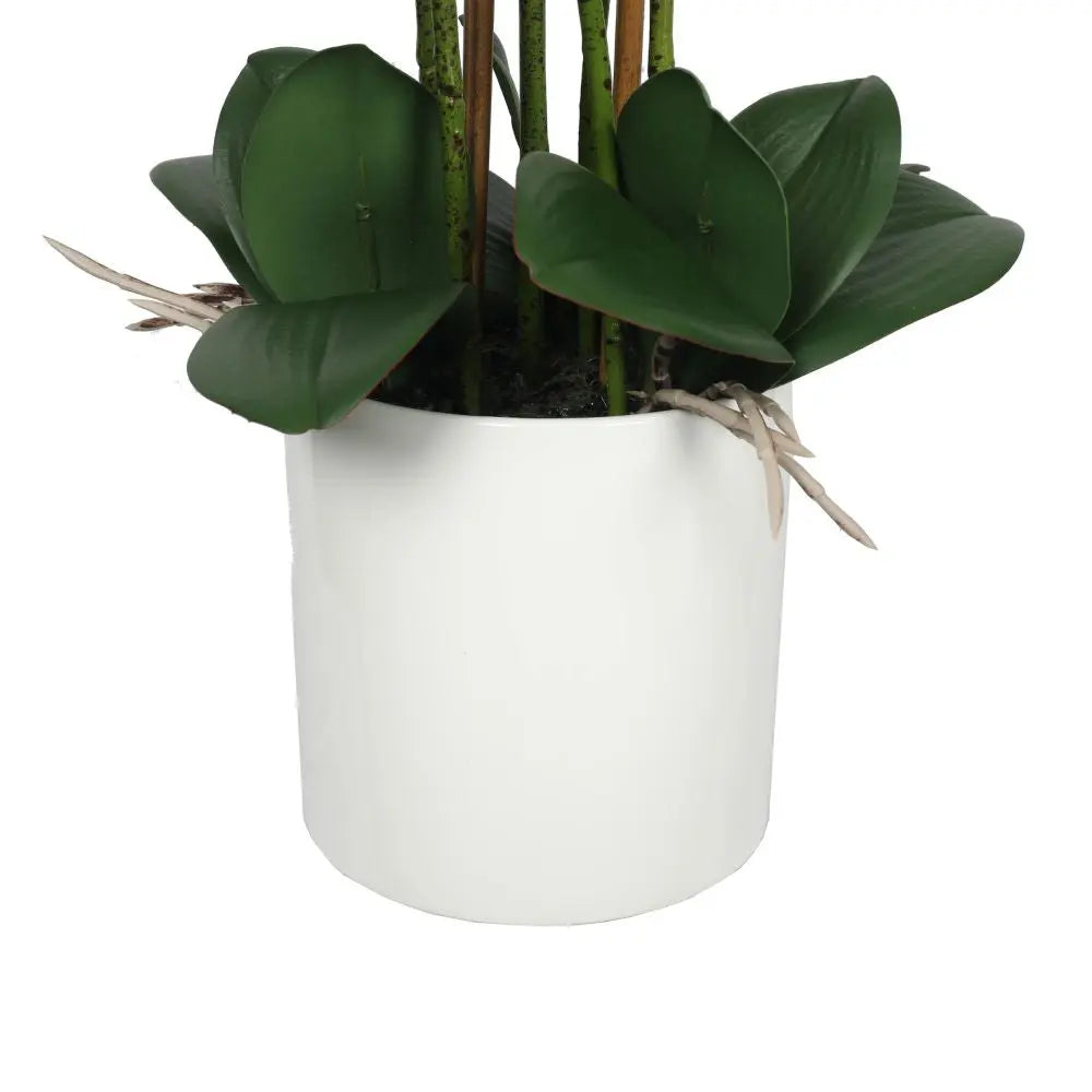 Large Multi-Stem White Potted Faux Orchid 65cm Deals499