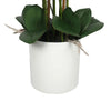 Large Multi-Stem White Potted Faux Orchid 65cm Deals499