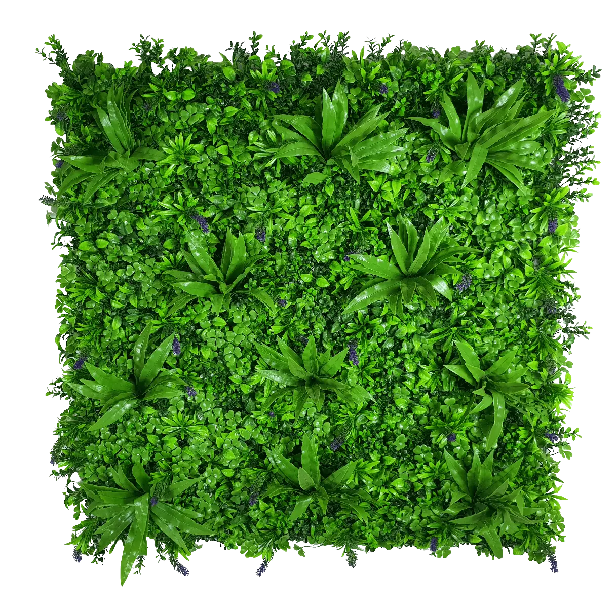 Lavandula Vertical Garden UV Stabilised Deals499