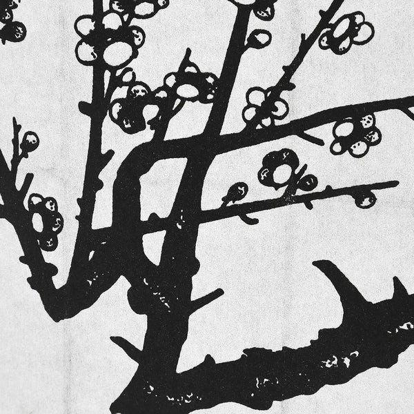 Levede 8 Panel Room Divider Privacy Screen Wood Timber Bed Wider Foldable Stand Deals499