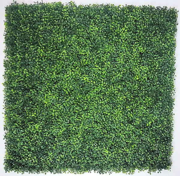 Mixed Boxwood Hedge Panels / Screens UV Resistant 1m x 1m Deals499