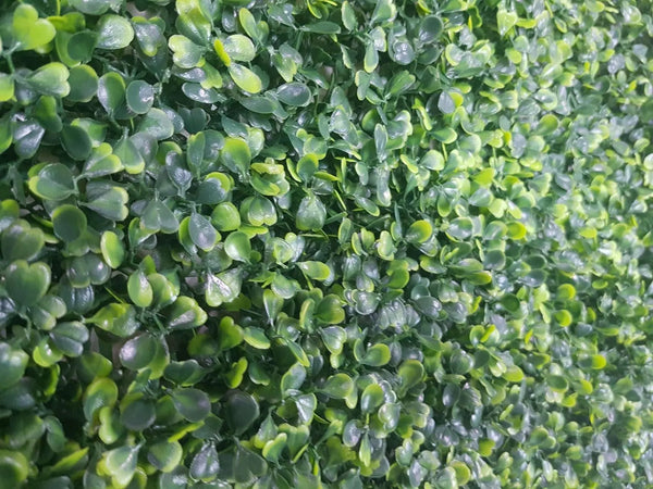 Mixed Boxwood Hedge Panels / Screens UV Resistant 1m x 1m Deals499