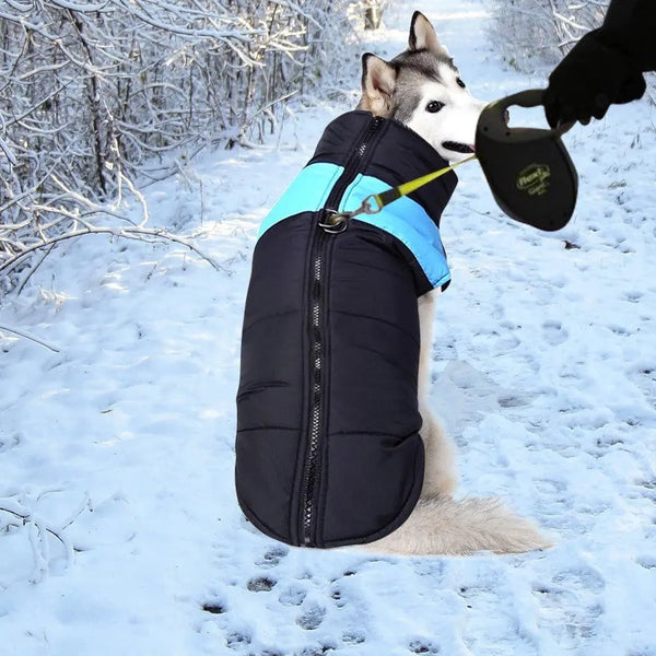 PaWz Dog Winter Jacket Padded Waterproof Pet Clothes Windbreaker Coat XL Blue Deals499
