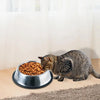 PaWz Pet Bowl Stainless Steel Non Tip Slip Dog Cat Puppy Water Food Feeder Dish Deals499
