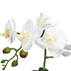 Potted Single Stem White Phalaenopsis Orchid with Decorative Pot 35cm Deals499