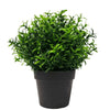 Small Potted Artificial Bright Rosemary Herb Plant UV Resistant 20cm Deals499