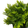 Small Potted Artificial Mimosa Fern UV Resistant 20cm Deals499