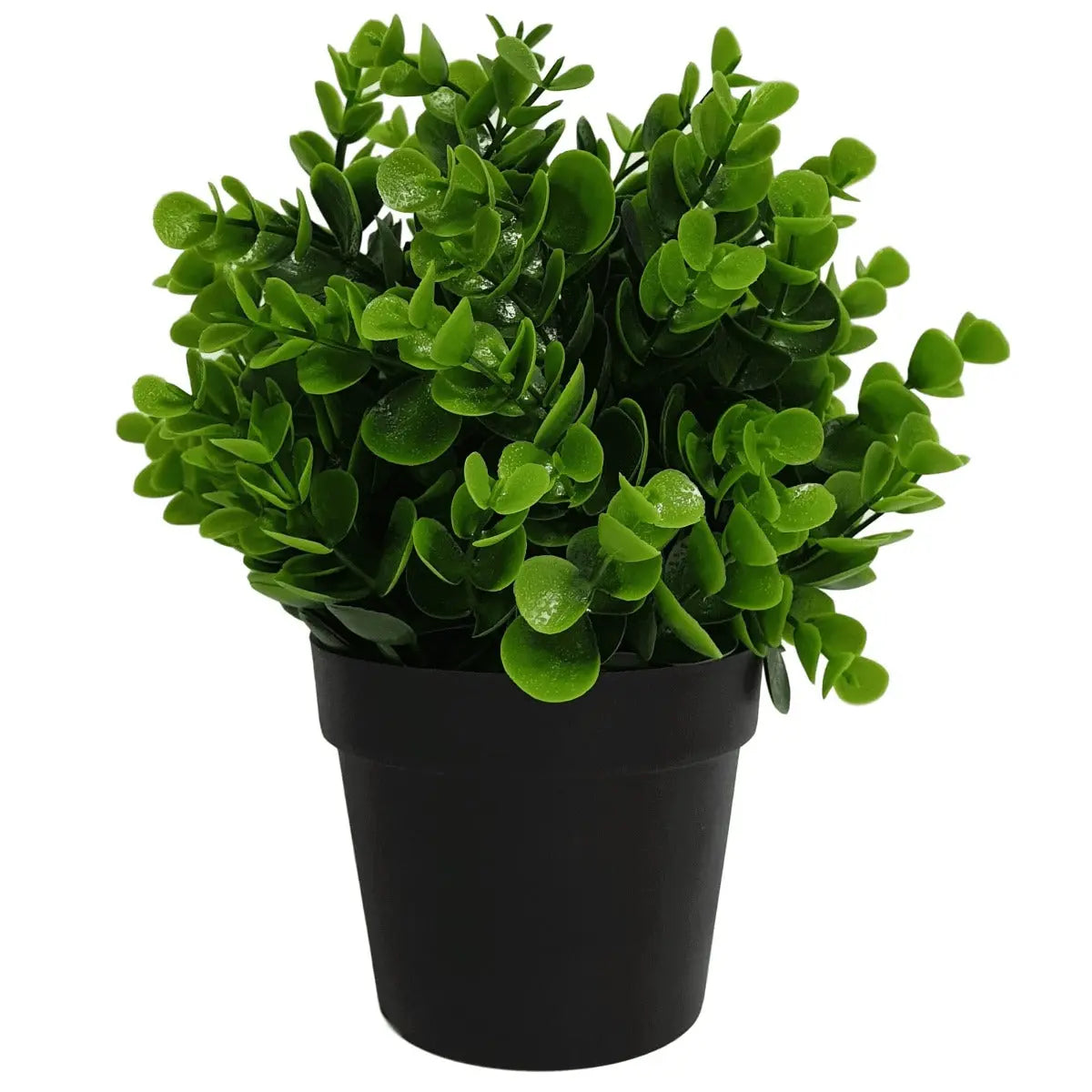 Small Potted Artificial Peperomia Plant UV Resistant 20cm Deals499