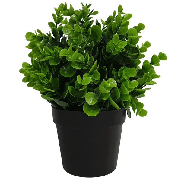 Small Potted Artificial Peperomia Plant UV Resistant 20cm Deals499