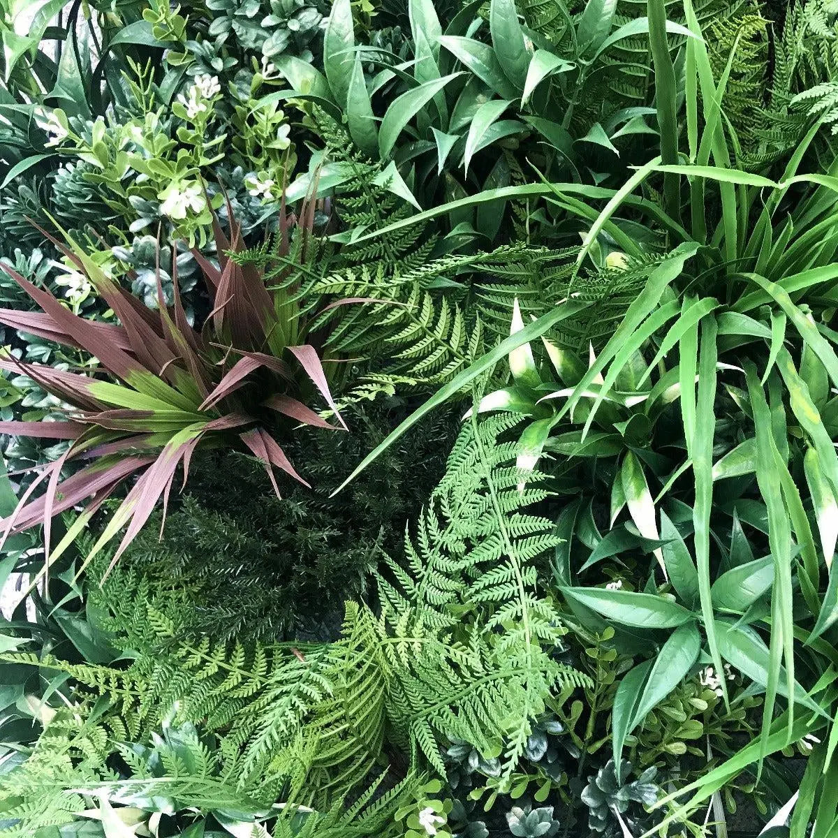 UV Stabilized Desert Fern Select Range Vertical Garden 90cm X 90cm Deals499