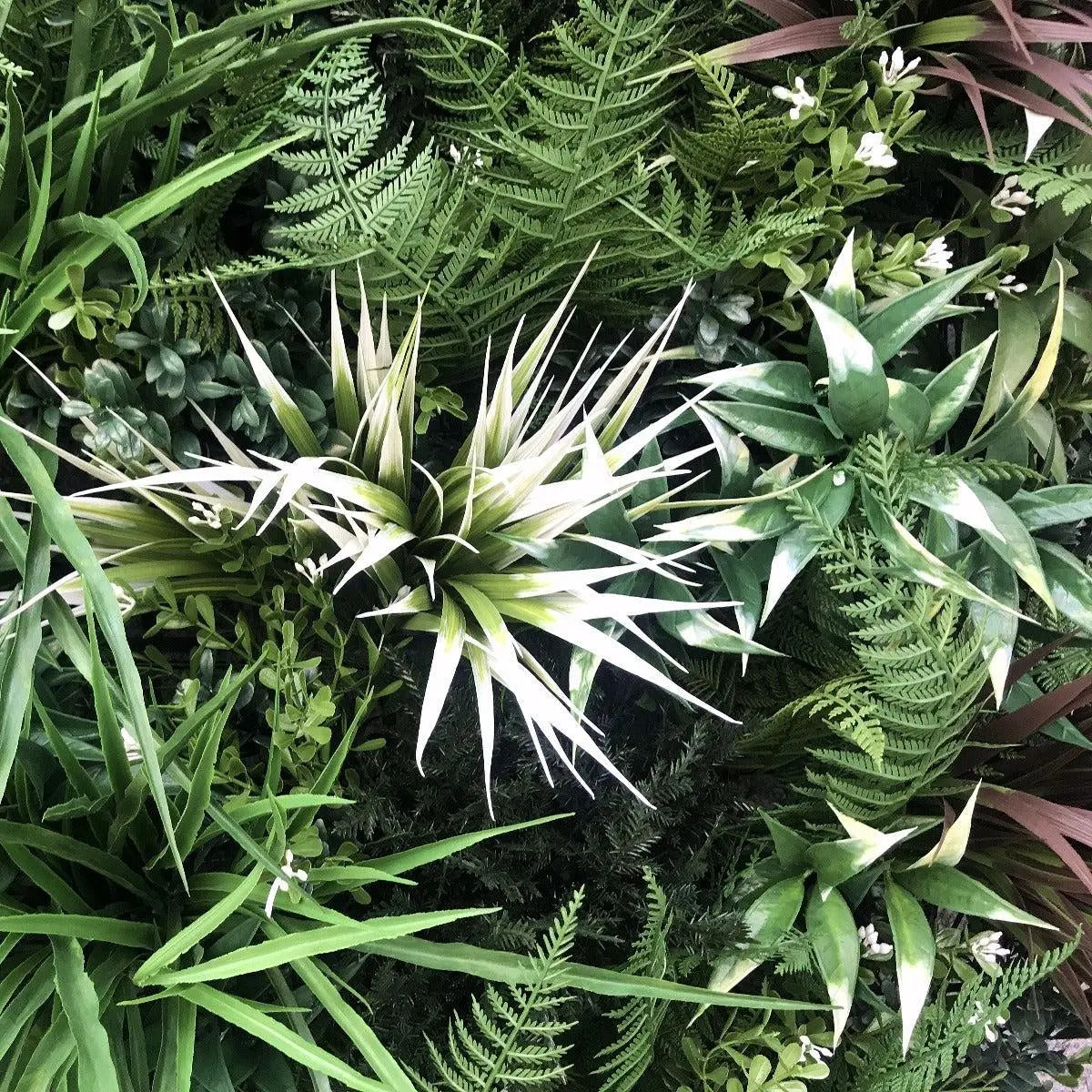 UV Stabilized Desert Fern Select Range Vertical Garden 90cm X 90cm Deals499