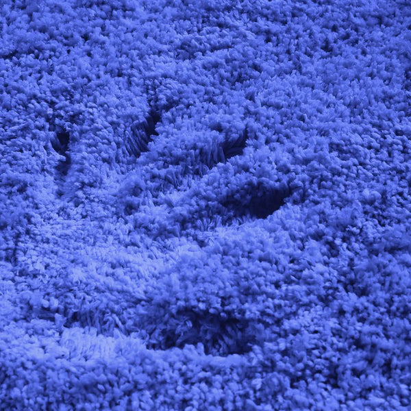Ultra Soft Anti Slip Rectangle Plush Shaggy Floor Rug Carpet 120x170cm Blue Deals499