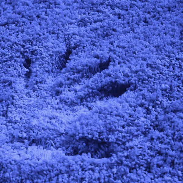 Ultra Soft Anti Slip Rectangle Plush Shaggy Floor Rug Carpet in Blue 160x225cm Deals499