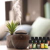 Milano Ultrasonic USB Diffuser with 10 Aroma Oils Humidifier LED Light 130ml - Dark Wood Deals499