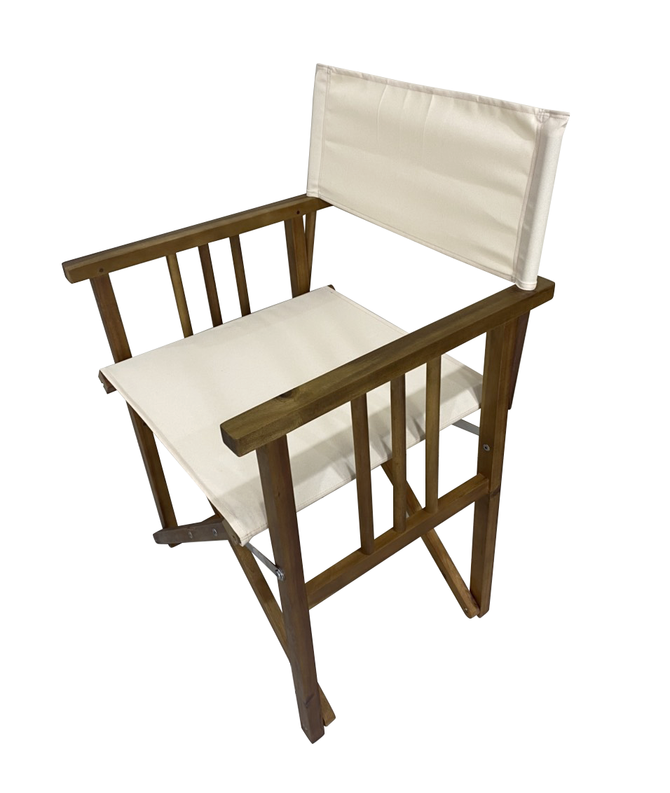 Directors Chair Deals499