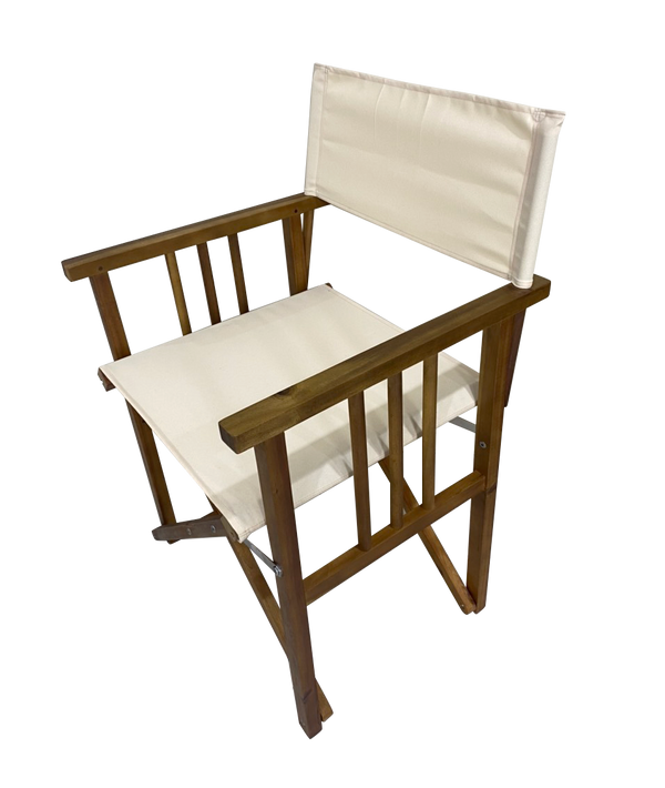 Directors Chair Deals499