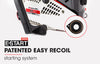 Baumr-AG 25CC Petrol Chainsaw Arborist 10 Bar Tree Pruning Garden Chain Saw Deals499