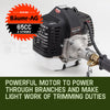 Baumr-AG 65CC Long Reach Pole Chainsaw Hedge Trimmer Pruner Chain Saw Tree Multi Tool Deals499