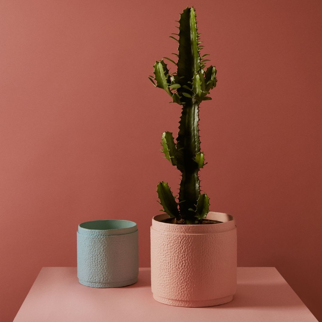 Tree Stripes Reef Design Pot in Almond Blue (Medium) Deals499