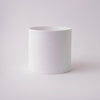 Tree Stripes Cylinder Pot Monstera - White (Small) Deals499