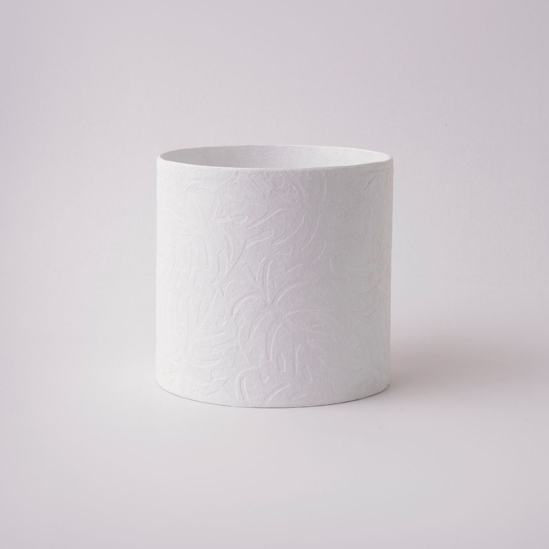 Tree Stripes Cylinder Pot Monstera - White (Medium) Deals499