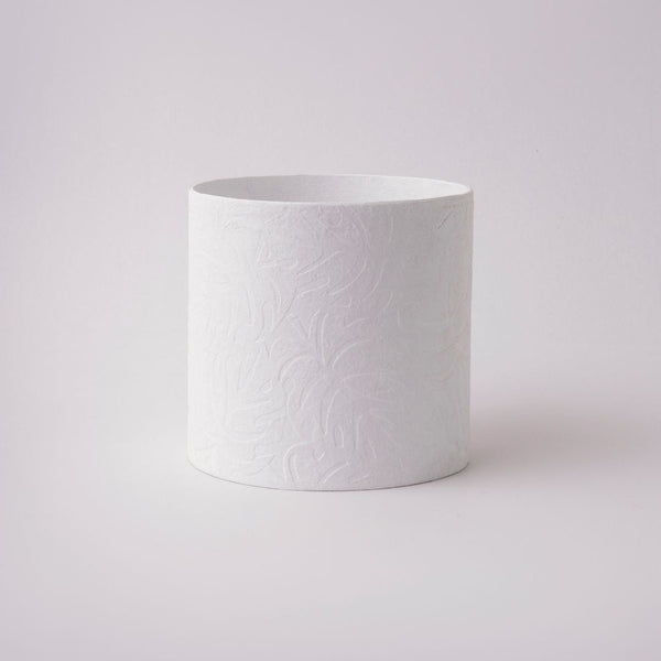 Tree Stripes Cylinder Pot Monstera - White (Medium) Deals499