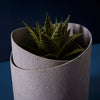 Tree Stripes Double Pot - Amalfi Purple (Small) Deals499