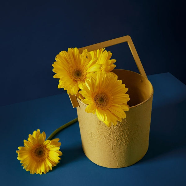 Tree Stripes Wish Handle Pot in Cream (Medium) Deals499