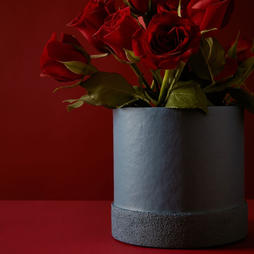 Tree Stripes Textured Base Pot - Arctic in Blue (Large) Deals499