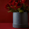Tree Stripes Textured Base Pot - Arctic in Blue (Large) Deals499