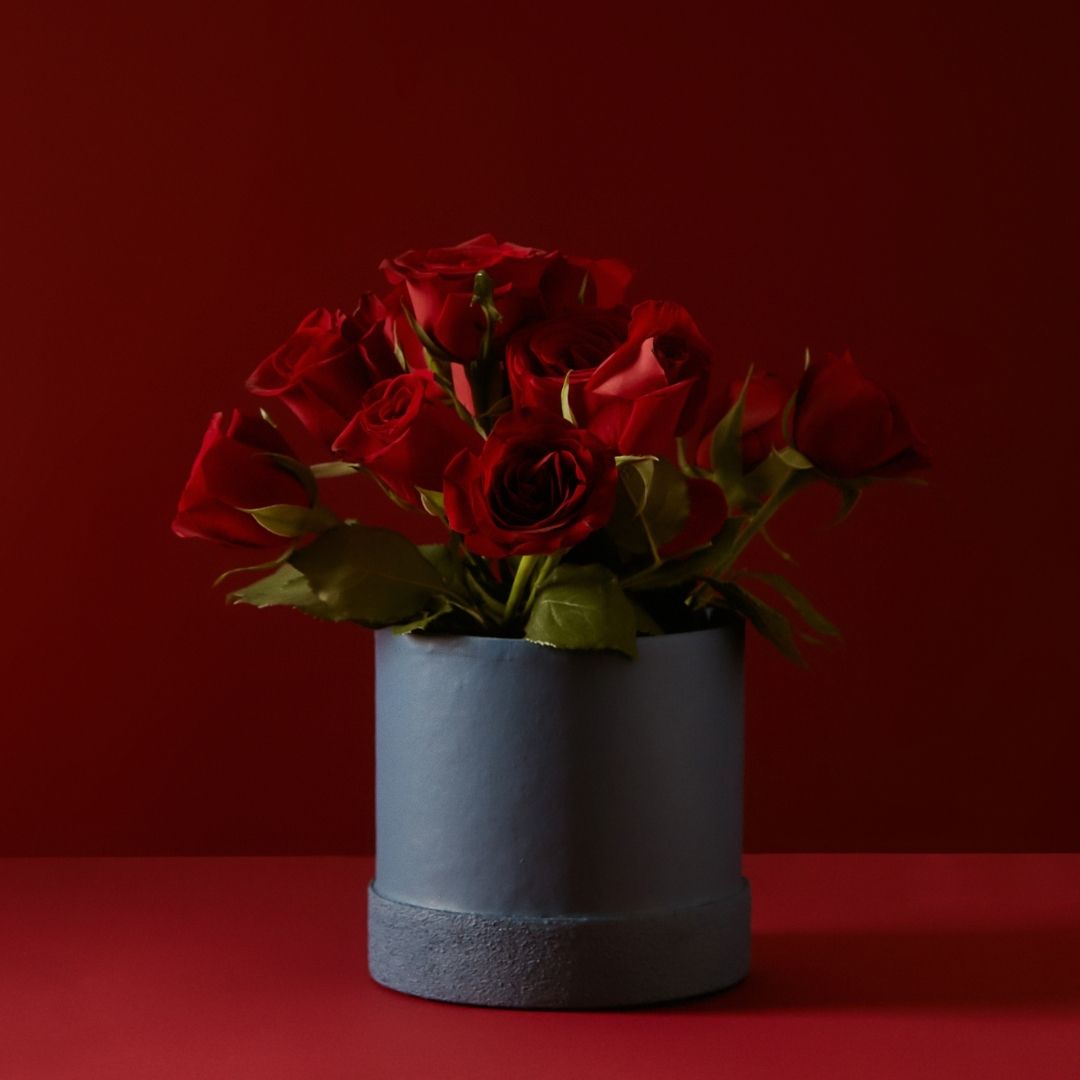 Tree Stripes Textured Base Pot - Arctic in Blue (Large) Deals499