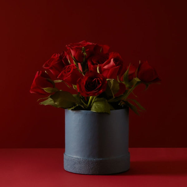 Tree Stripes Textured Base Pot - Arctic in Blue (Large) Deals499