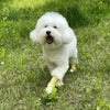 Daeng Daeng Shoes 28pc L Yellow Dog Shoes Waterproof Disposable Boots Anti-Slip Socks Deals499