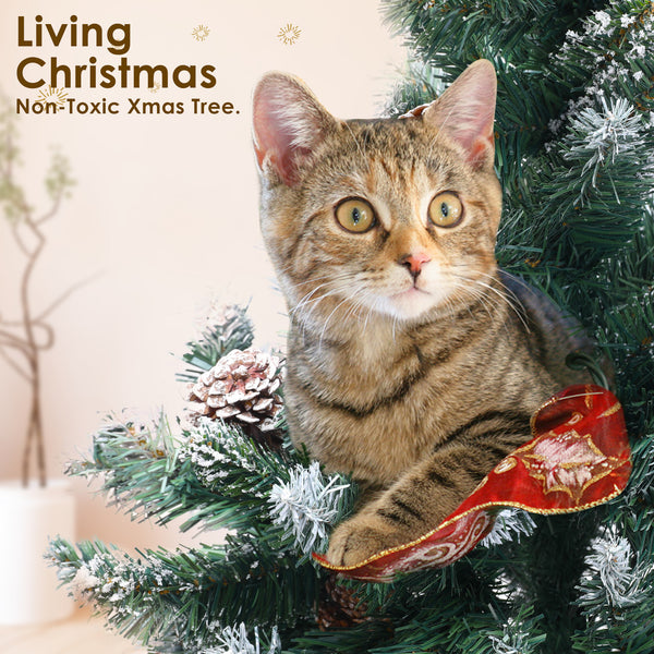 Home Ready 7Ft 210cm 1290 tips Green Snowy Christmas Tree Xmas Pine Cones + Bauble Balls Deals499
