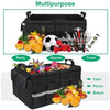 UGREEN 80710 Multifunctional Car Trunk Organizer Black Deals499