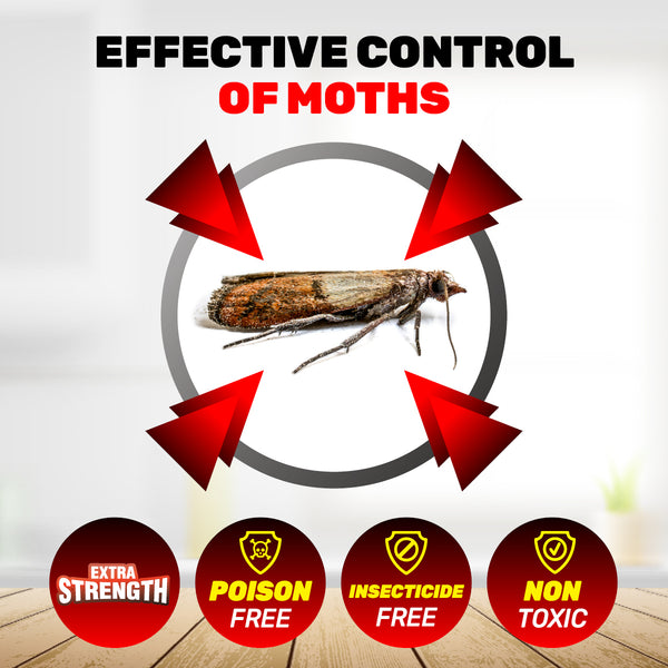 SAS Pest Control 48PCE Pantry Moth Control Non-Toxic Fast Acting Disposable Deals499