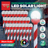 Christmas By Sas 24PCE Solar Candy Cane Stakes With Crackle Balls LED 35cm Deals499
