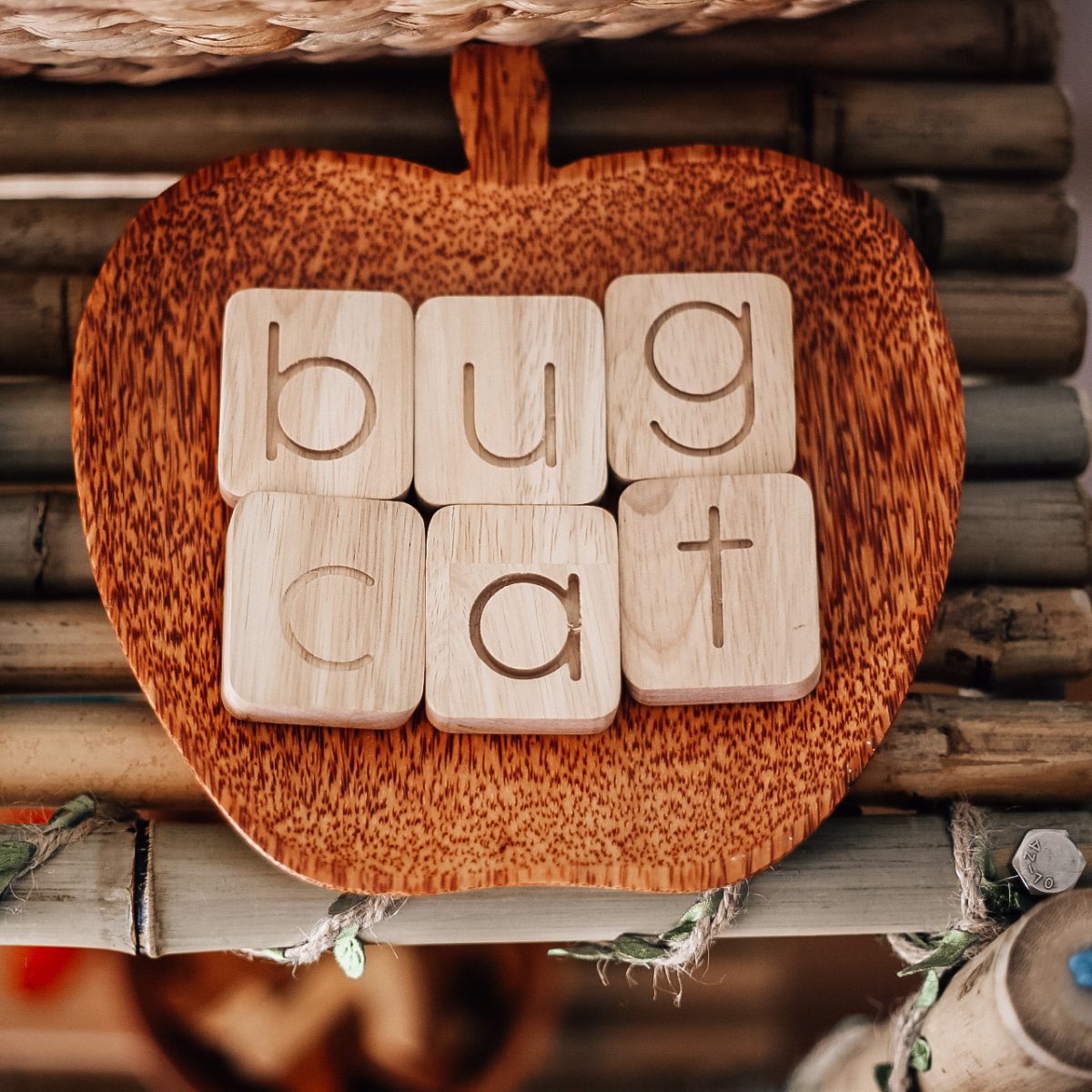 Coco Apple Tray Deals499