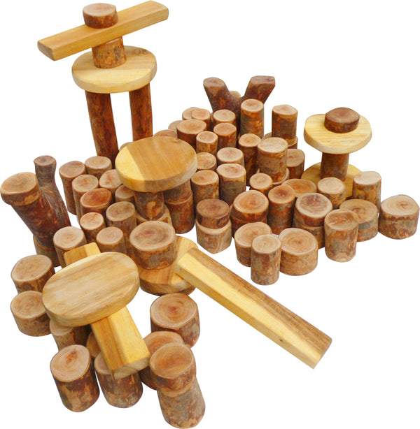 Tree Blocks 106 Pcs Deals499