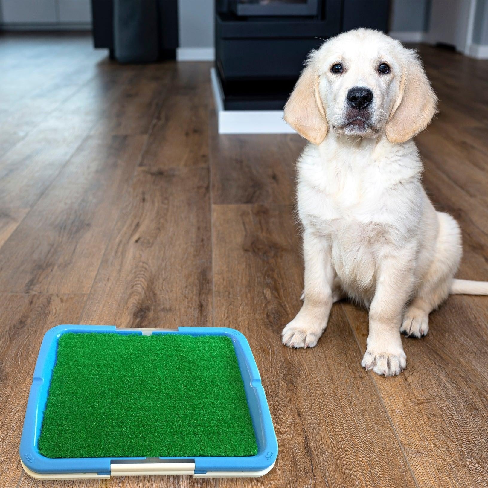 Portable Puppy Pet Toilet Deals499